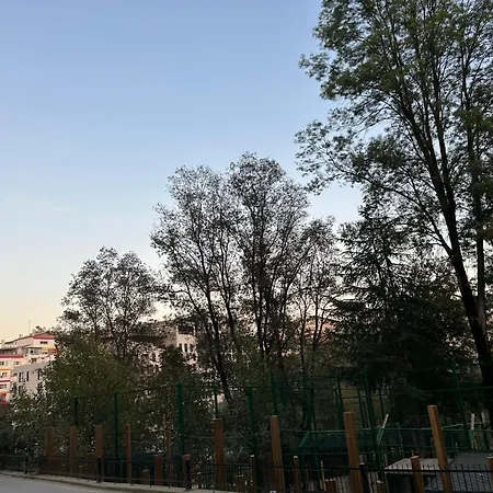 Apartment Zoo's Tirana